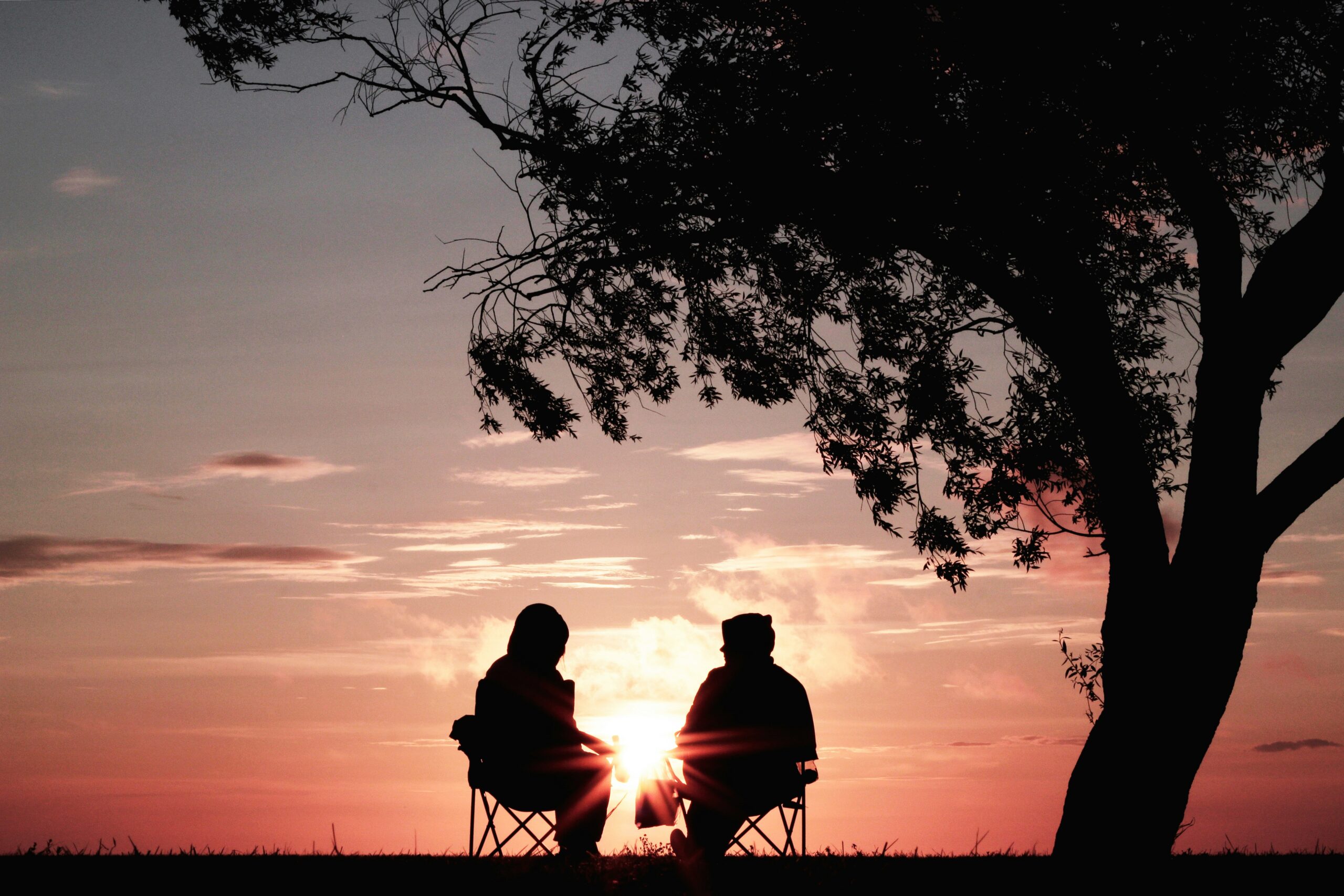 Silhouettes of two people seated under a tree at sunset, with the sun setting on the horizon.
