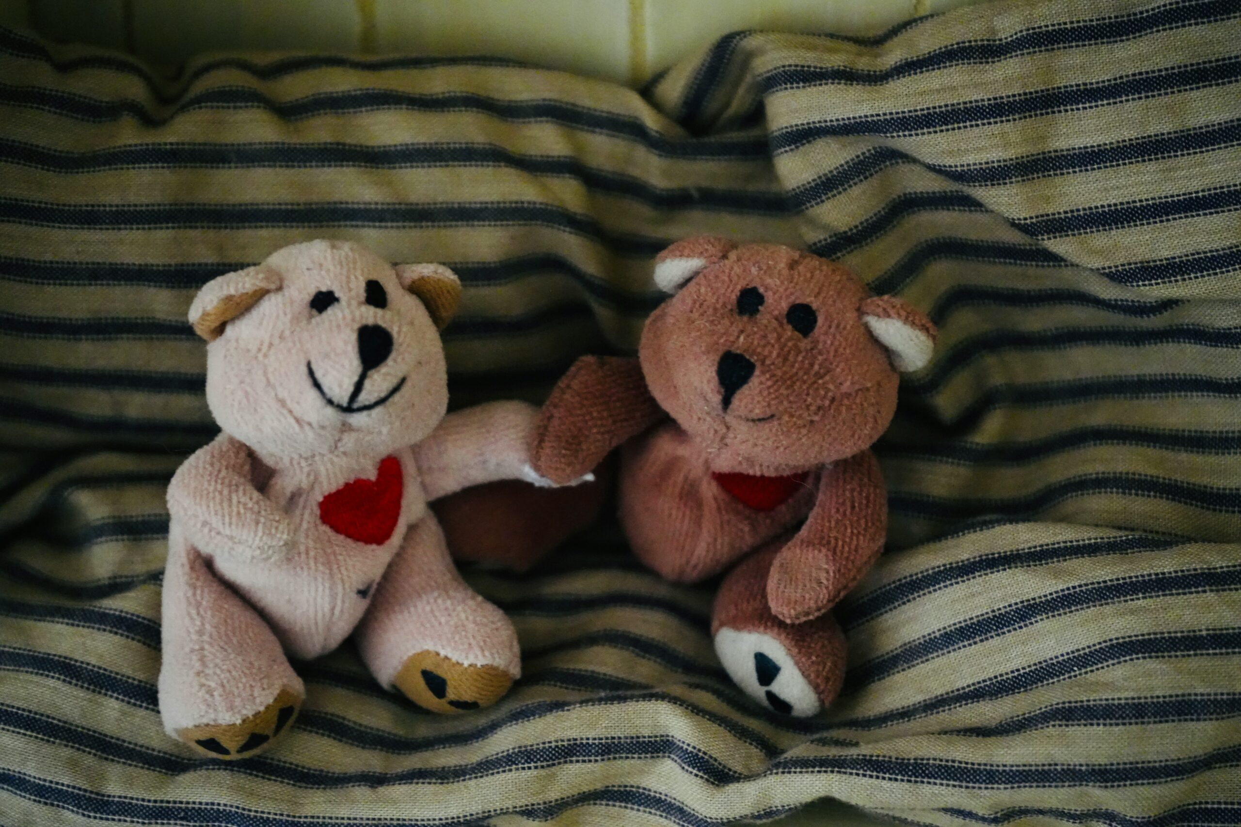 Two stuffed bear toys with red hearts on their chests are sitting on striped fabric, facing forward and touching paws.